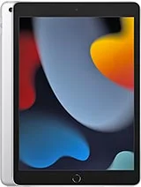 iPad (9th generation)
